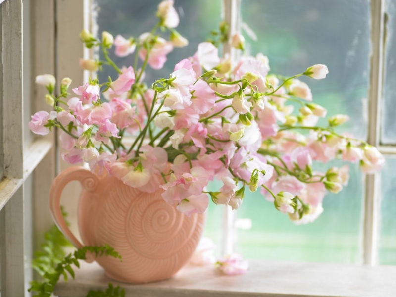 Image du Blog leblogdenicolette.centerblog.net