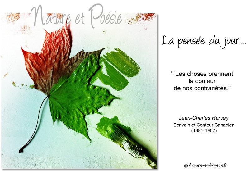 Image du Blog leblogdenicolette.centerblog.net